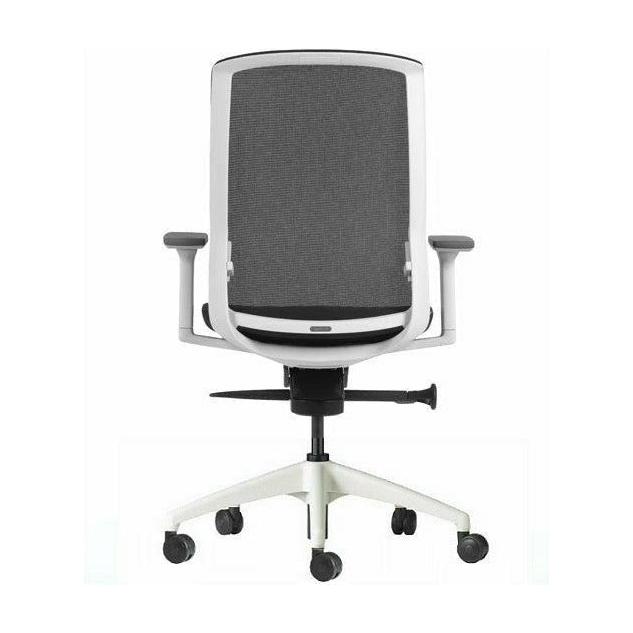 Aveya Task Chair White Frame Chair