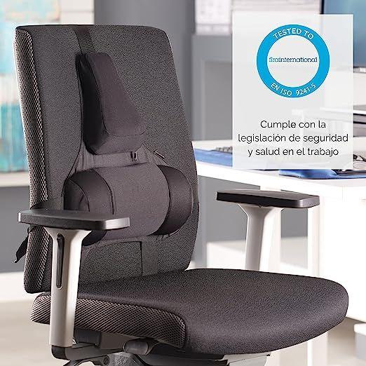 Fellowes Professional Series Back Support