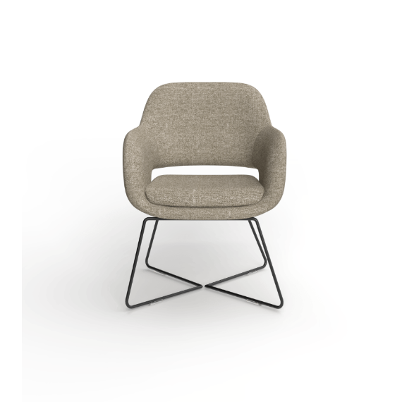 Elaro Arm Chair