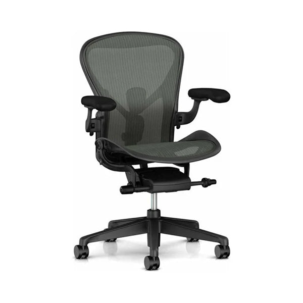 Herman Miller Chairs