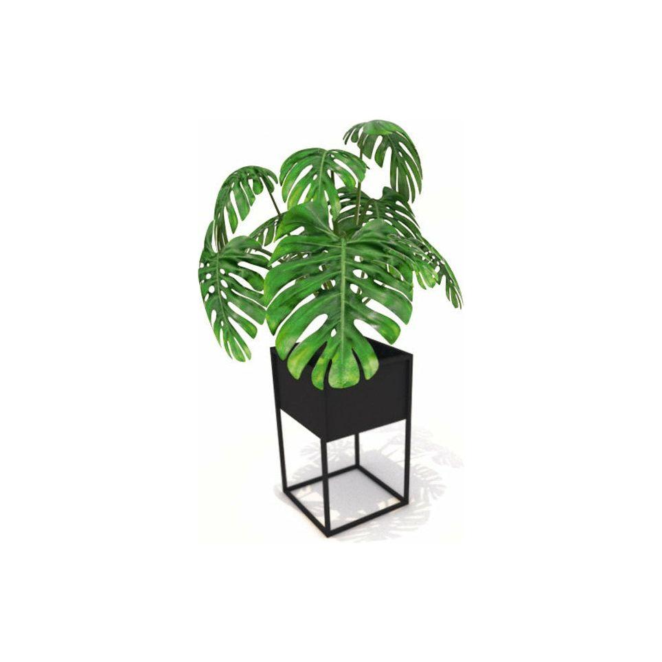 Lineart Planter