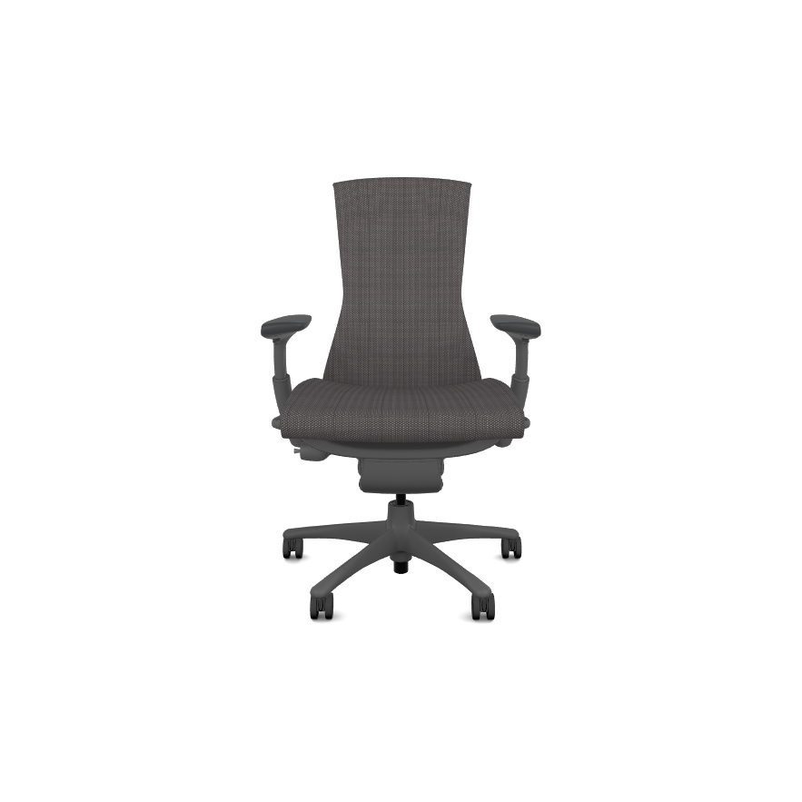 Herman Miller Embody Chair - Custom