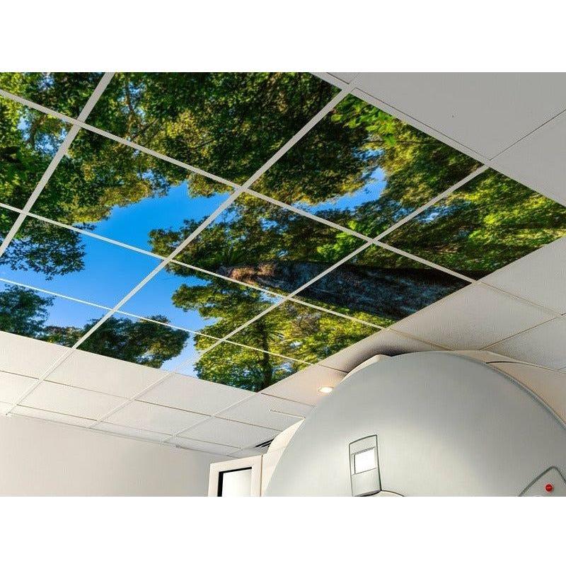 Virtual Skylights